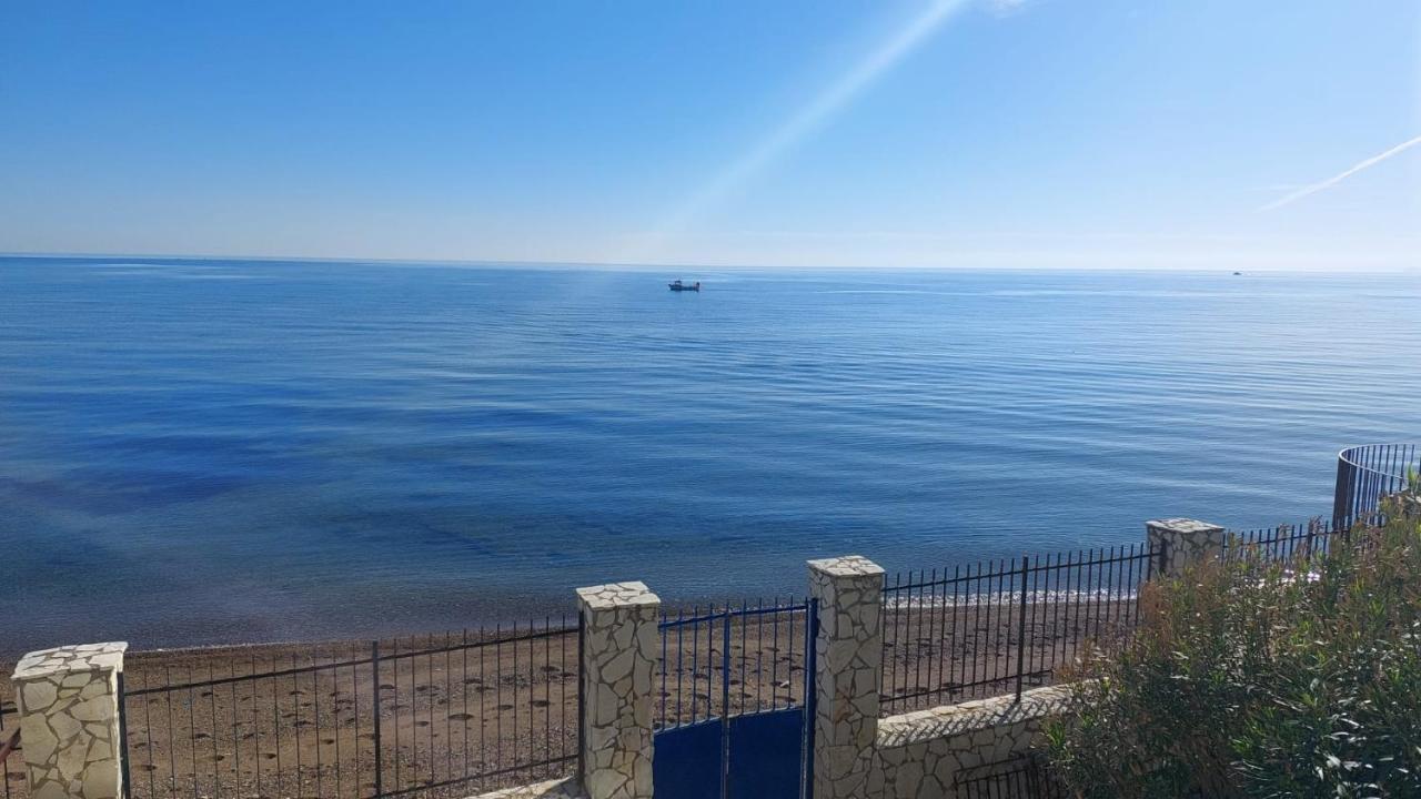 Blue Life, Sea-Luxury Rooms On The Beach Between Palermo And Cefalu' กาสเตลดัชเชีย ภายนอก รูปภาพ